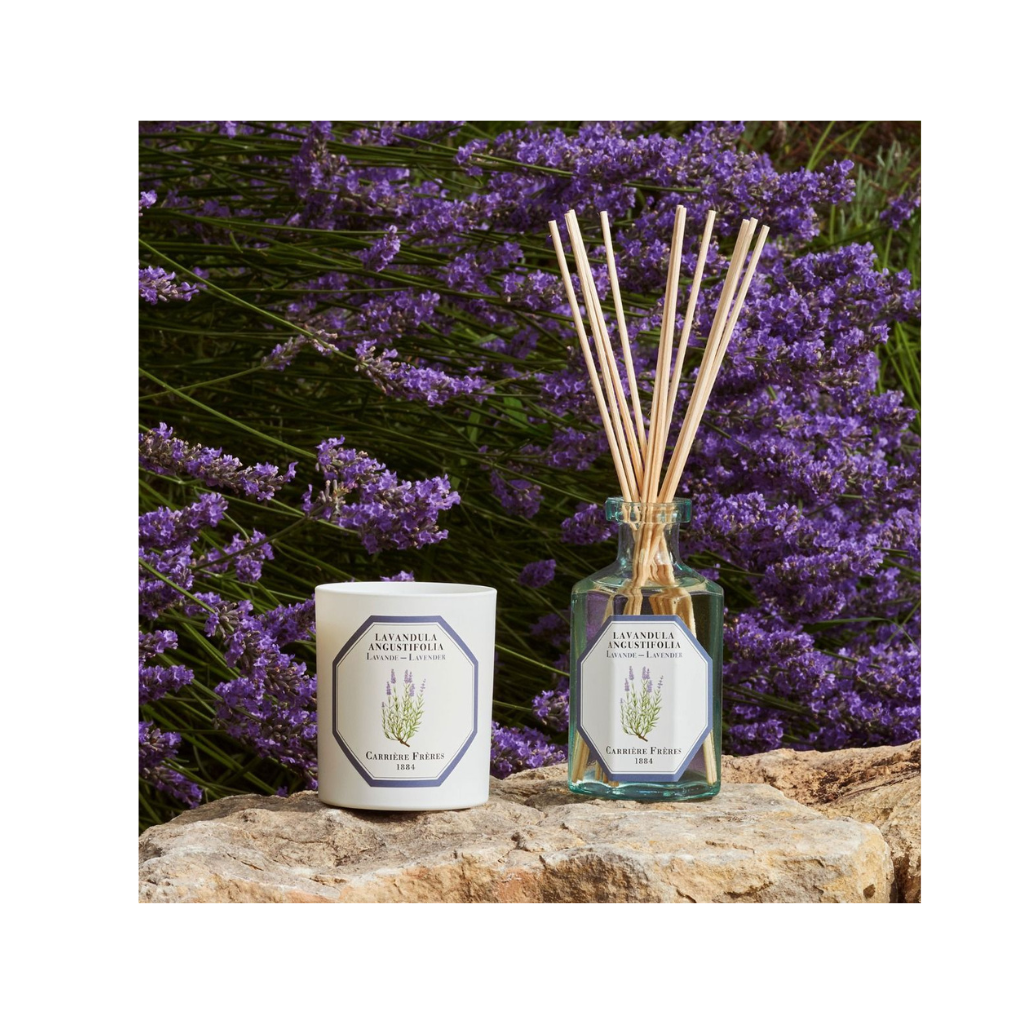 Carrière Frères Diffuser Lavender - Lavandula Angustifolia - 6.7 fl. oz