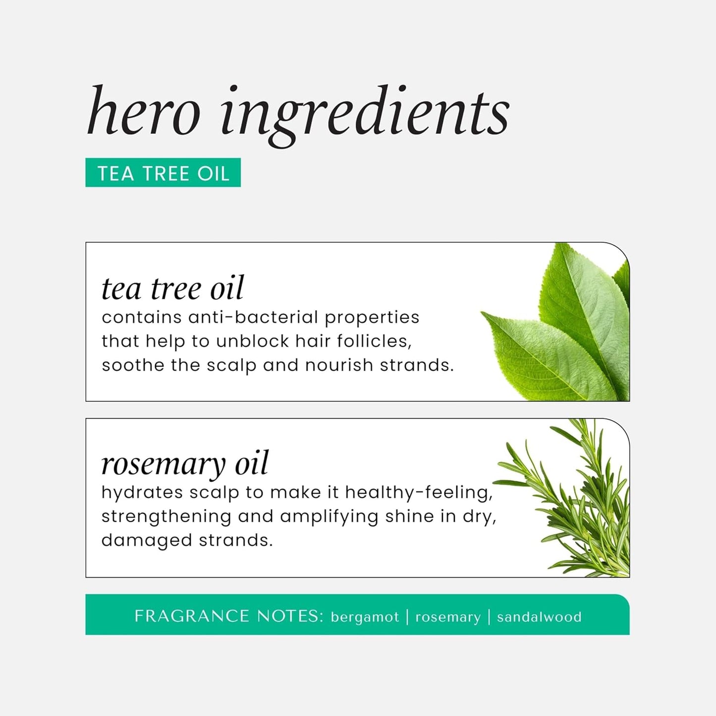 Hask Tea Tree Oil & Rosemary Invigorating Conditioner 355ml