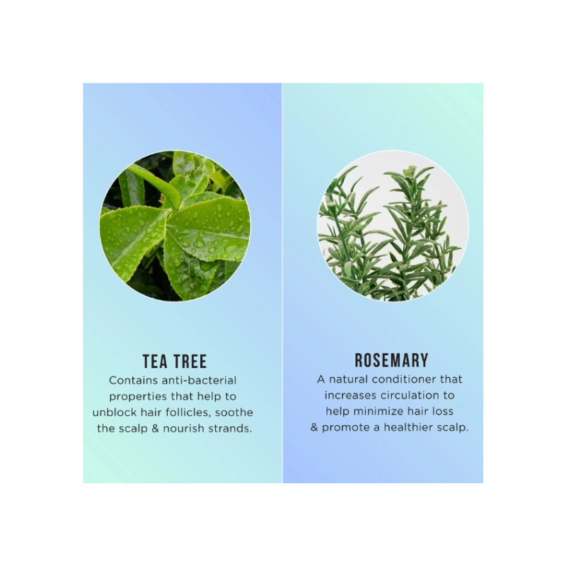 Hask Tea Tree & Rosemary Shampoo 355ml