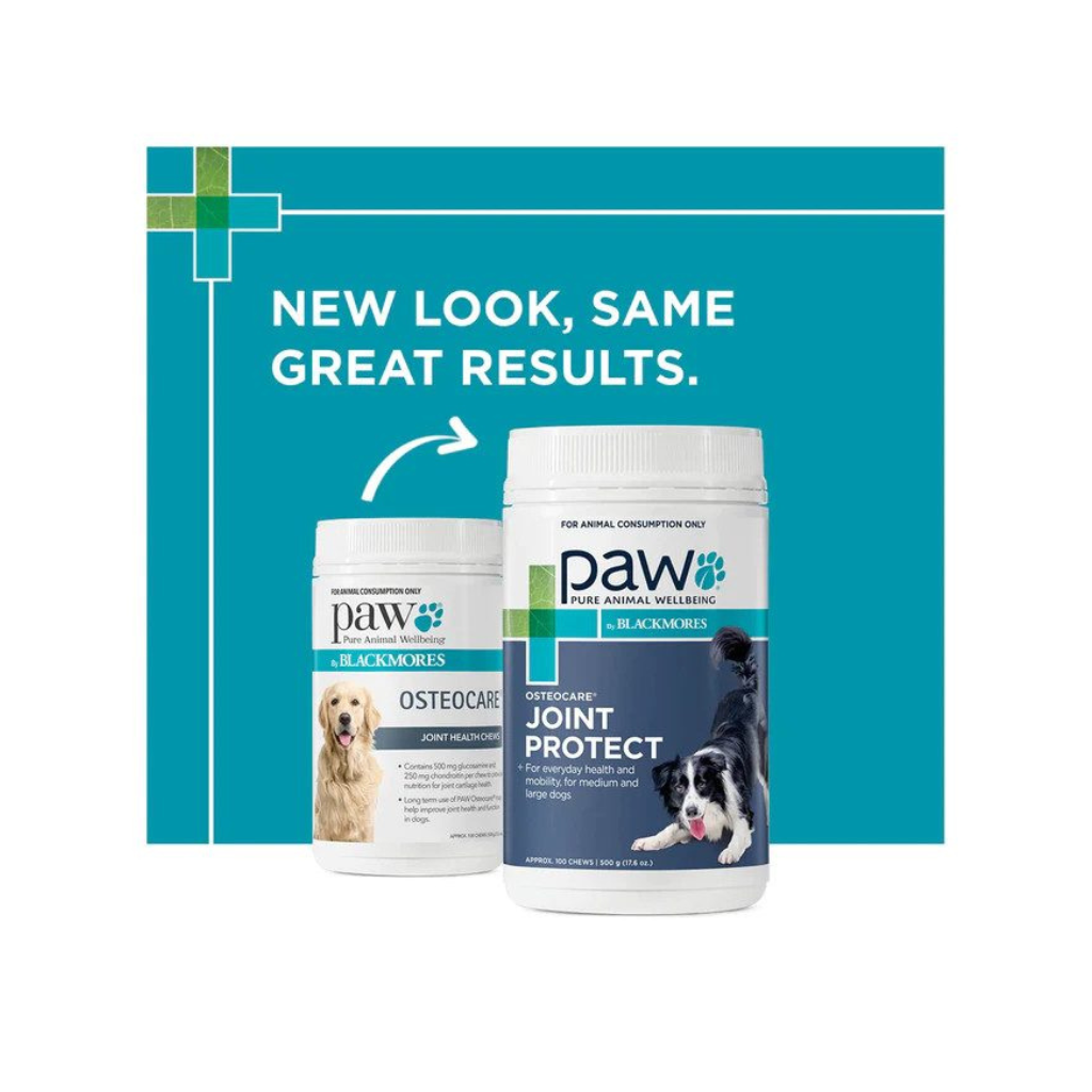 Blackmores PAW Osteocare Chews for Dogs
