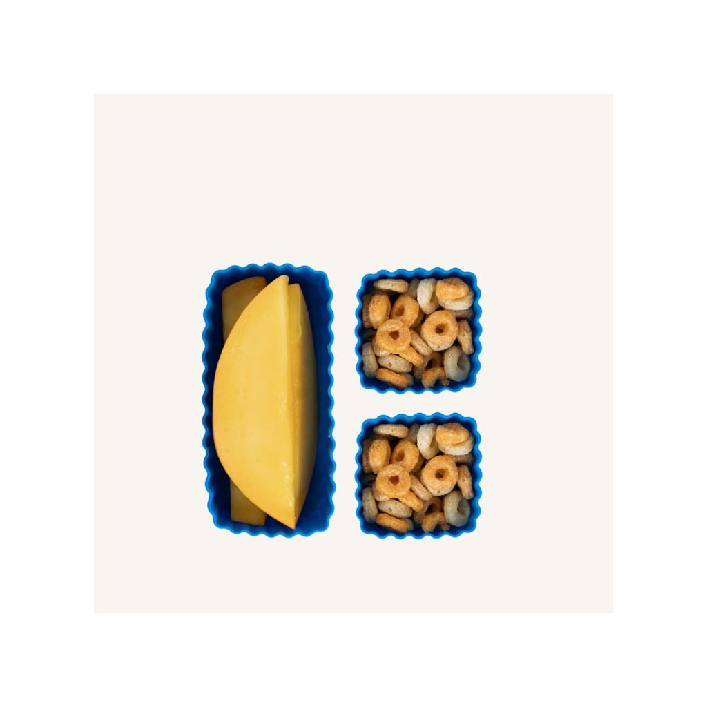 Montiico Feast Bento Cups 3 pcs - Reef