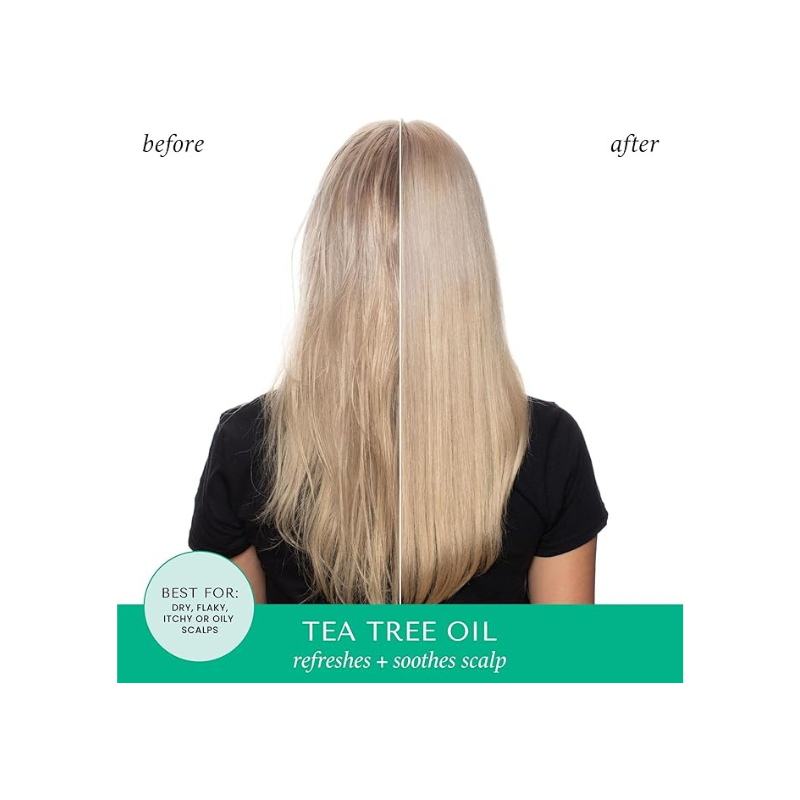 Hask Tea Tree & Rosemary Shampoo 355ml