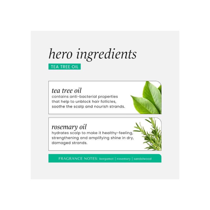 Hask Tea Tree & Rosemary Shampoo 355ml