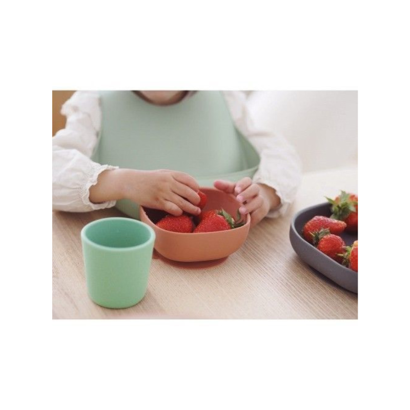 Beaba Silicone Meal Set with suction pad