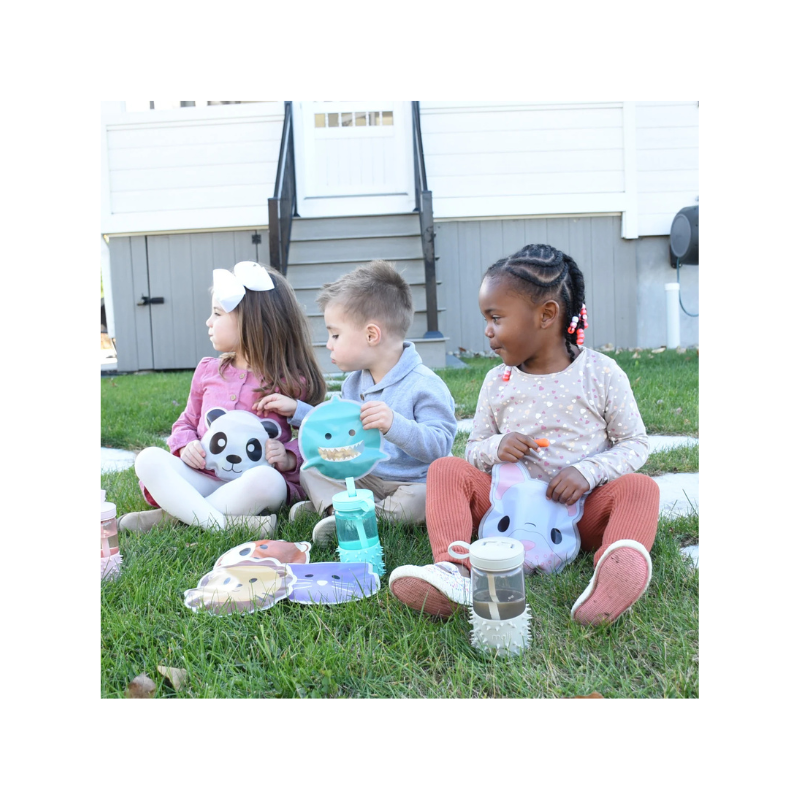 Reusable Snack Bags