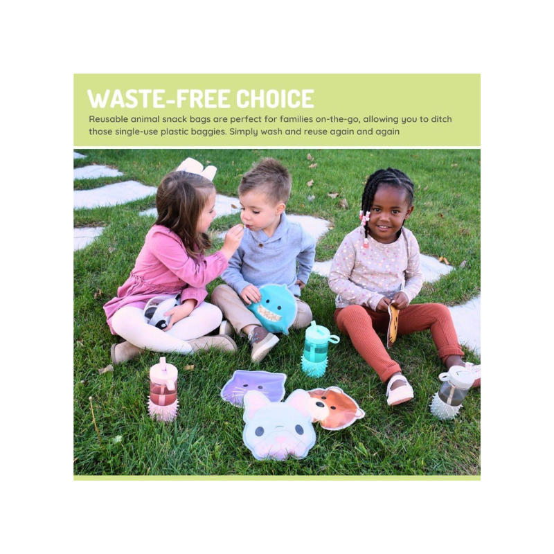 Reusable Snack Bags