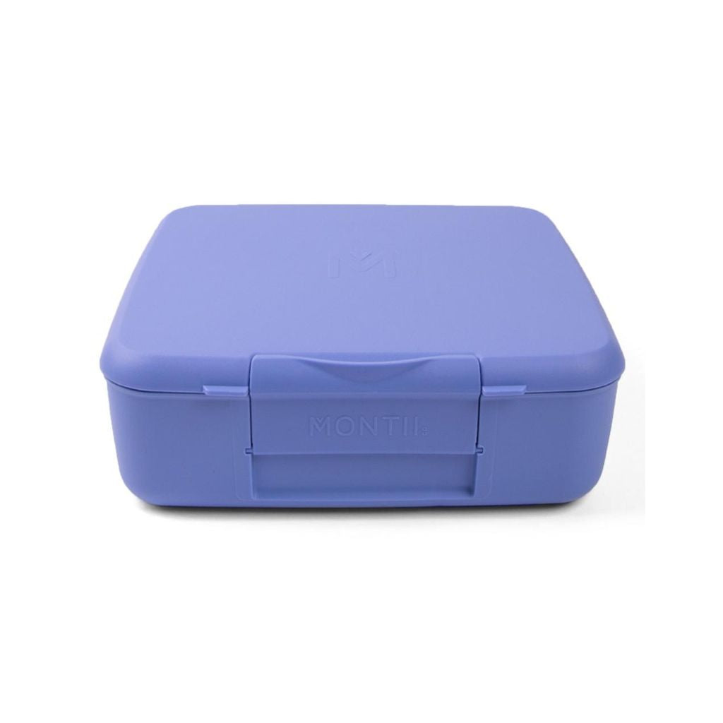 Montiico Feast Lunch Box - Splash