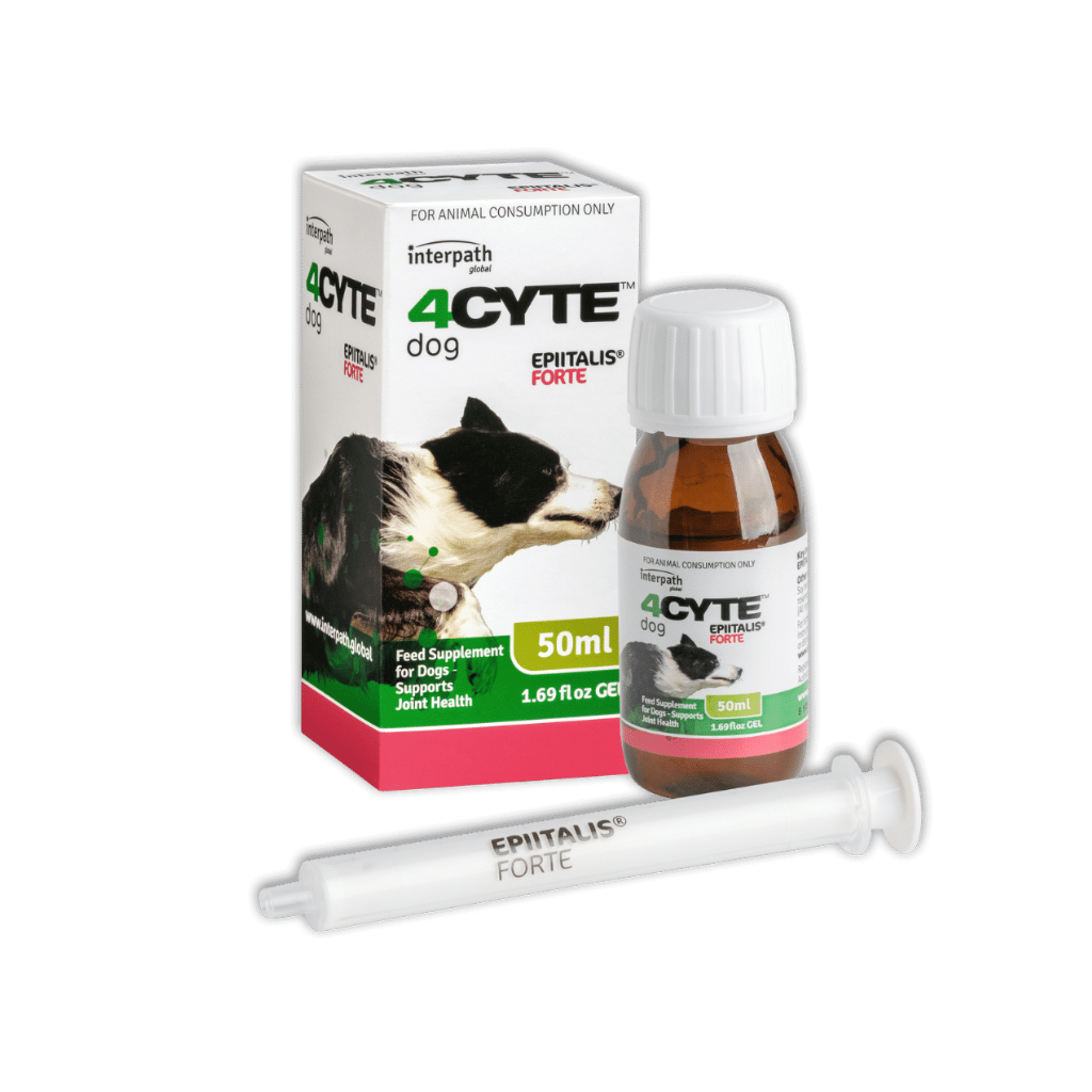 4CYTE Epiitalis Forte for Dogs