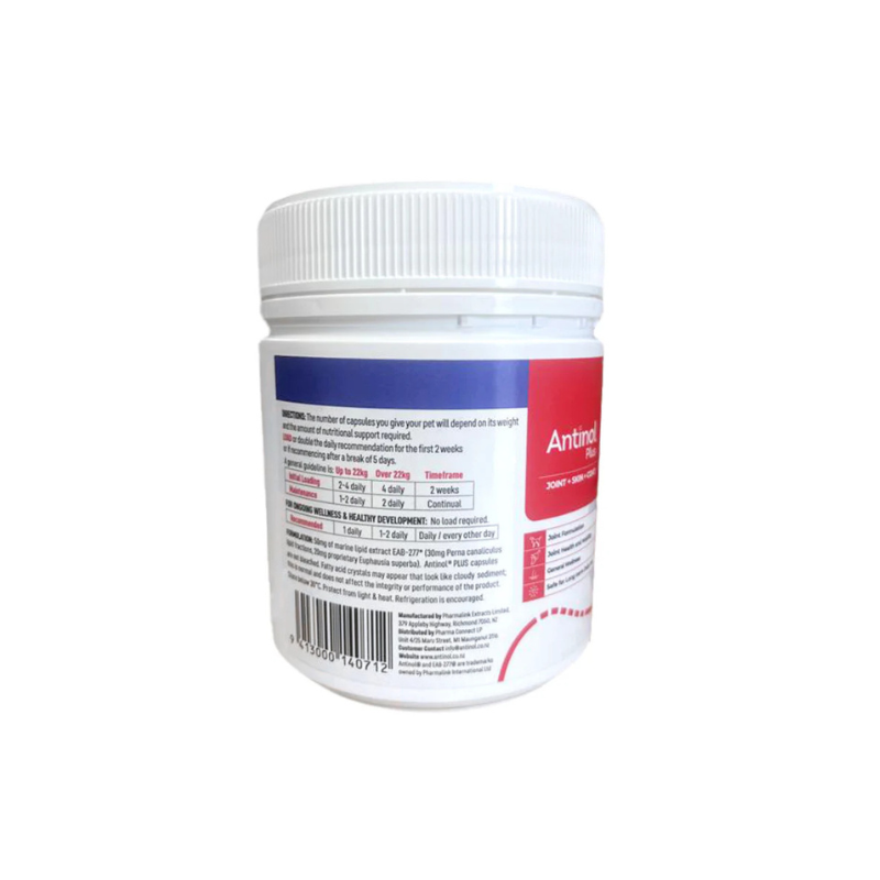 Antinol Plus for Cats 60s