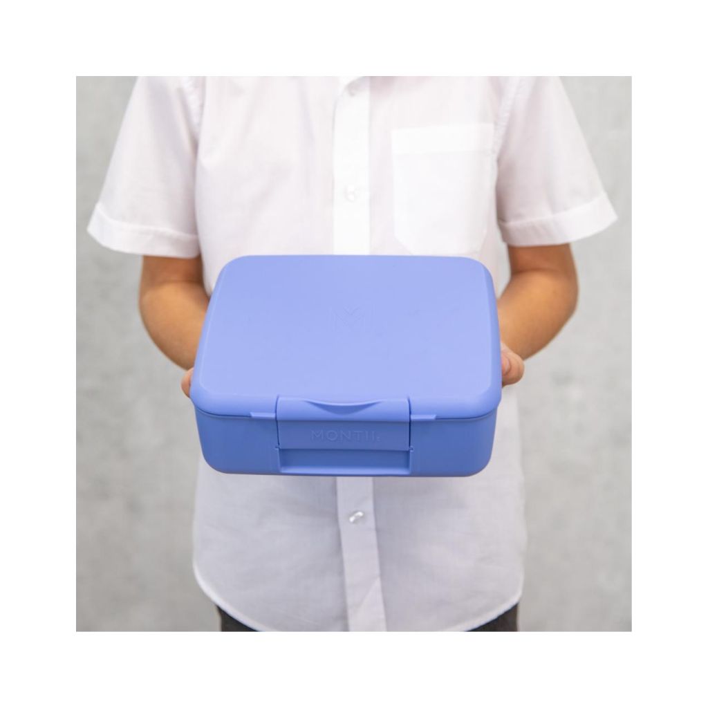 Montiico Feast Lunch Box - Splash