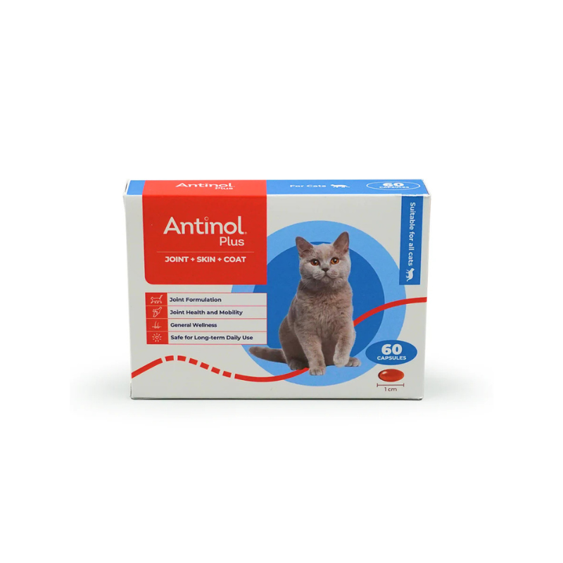 Antinol Plus for Cats 60s