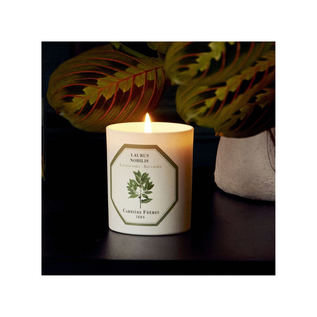 Carrière Frères Scented Candle Bay Laurel - Laurus Nobilis - 185 g