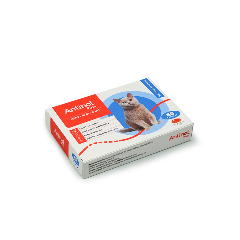 Antinol Plus for Cats 60s
