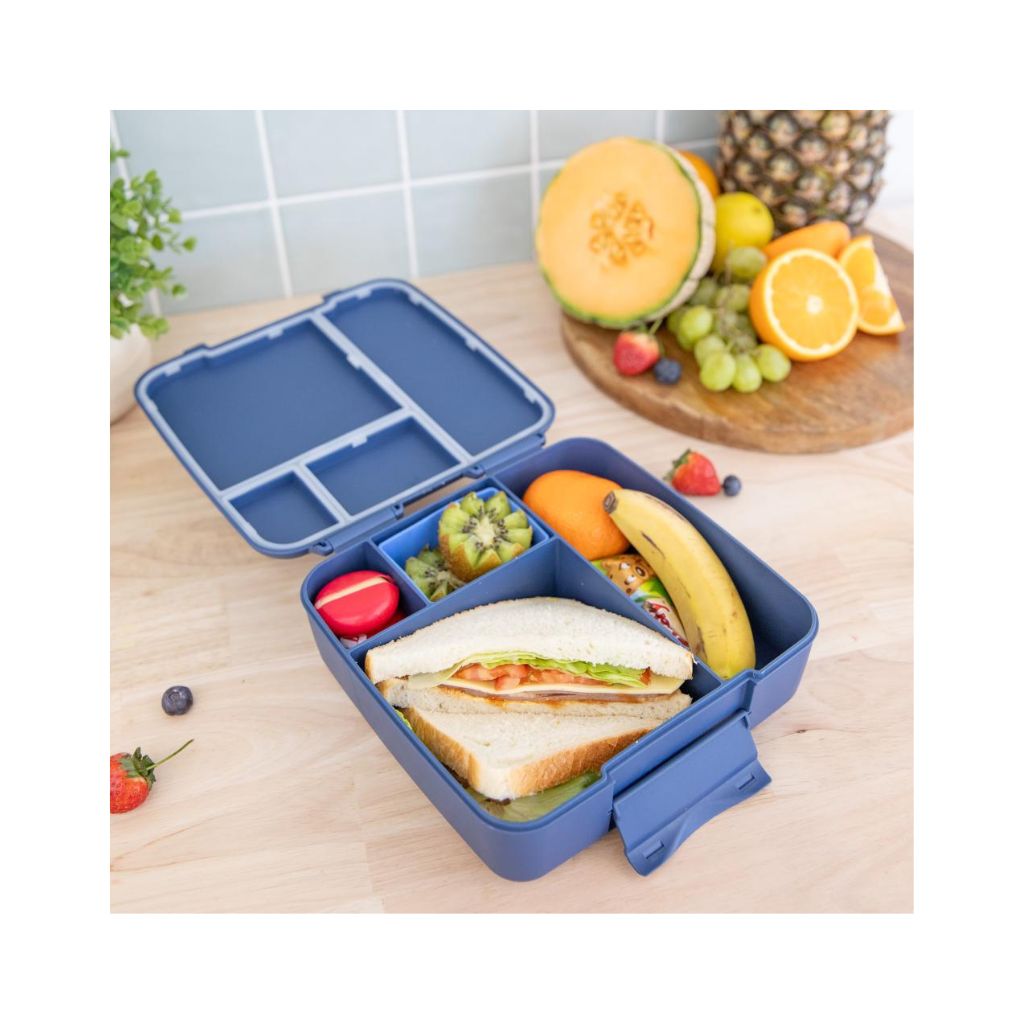 Montiico Feast Lunch Box - Splash