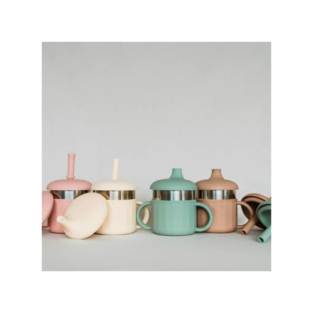 Ease.Baby Stainless Steel EaseSip 3in1 cup
