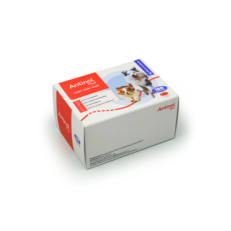 Antinol Plus for Cats 60s