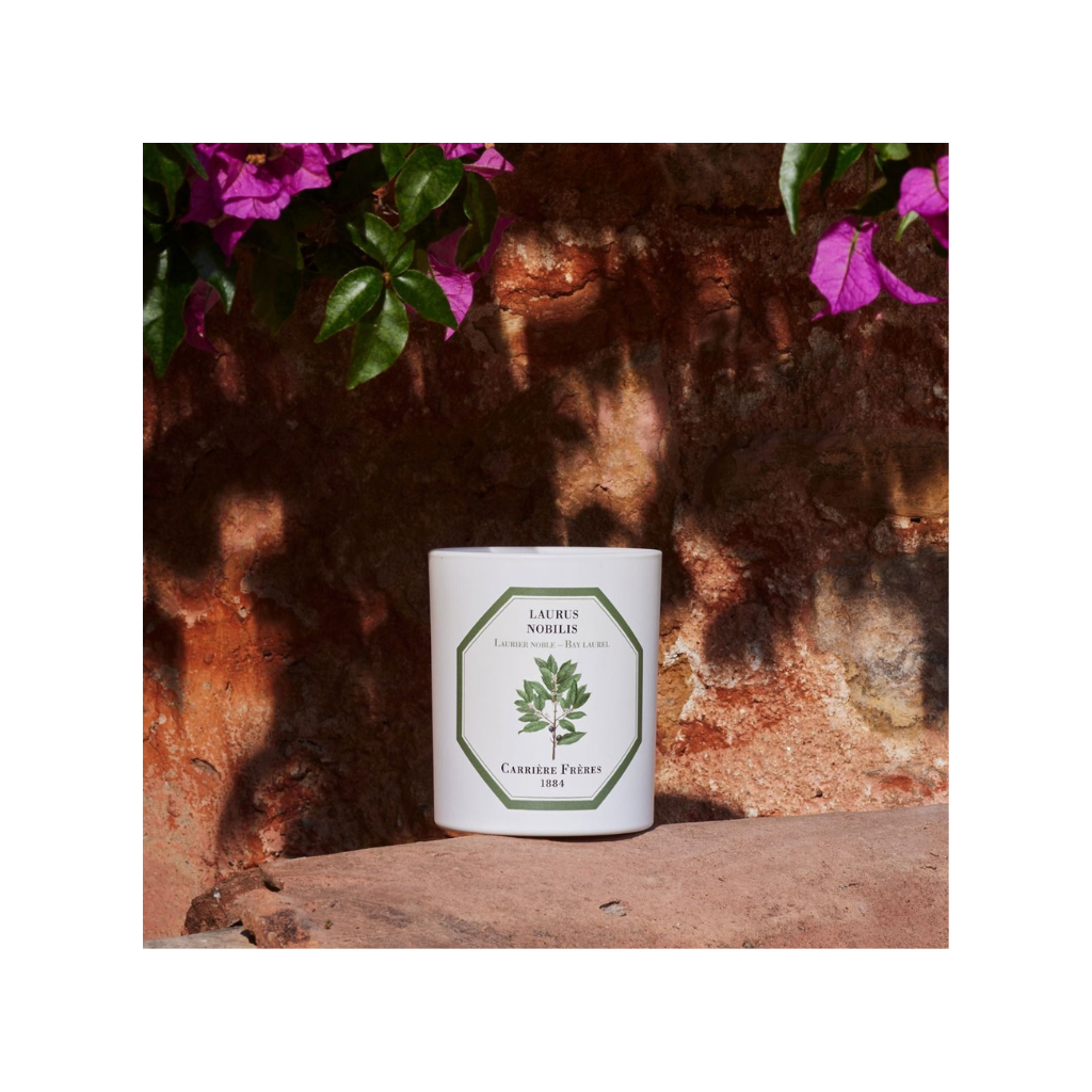 Carrière Frères Scented Candle Bay Laurel - Laurus Nobilis - 185 g