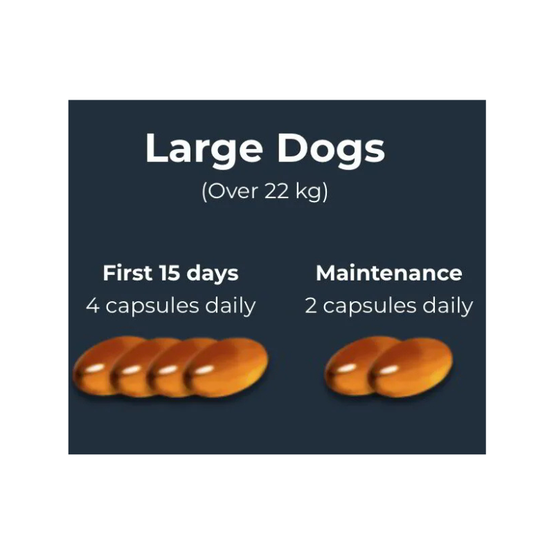 Antinol® Plus For Dogs 180s