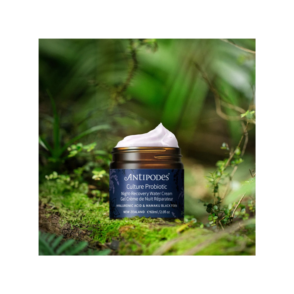 Antipodes Culture Probiotic Night Recovery Water Cream 60ml
