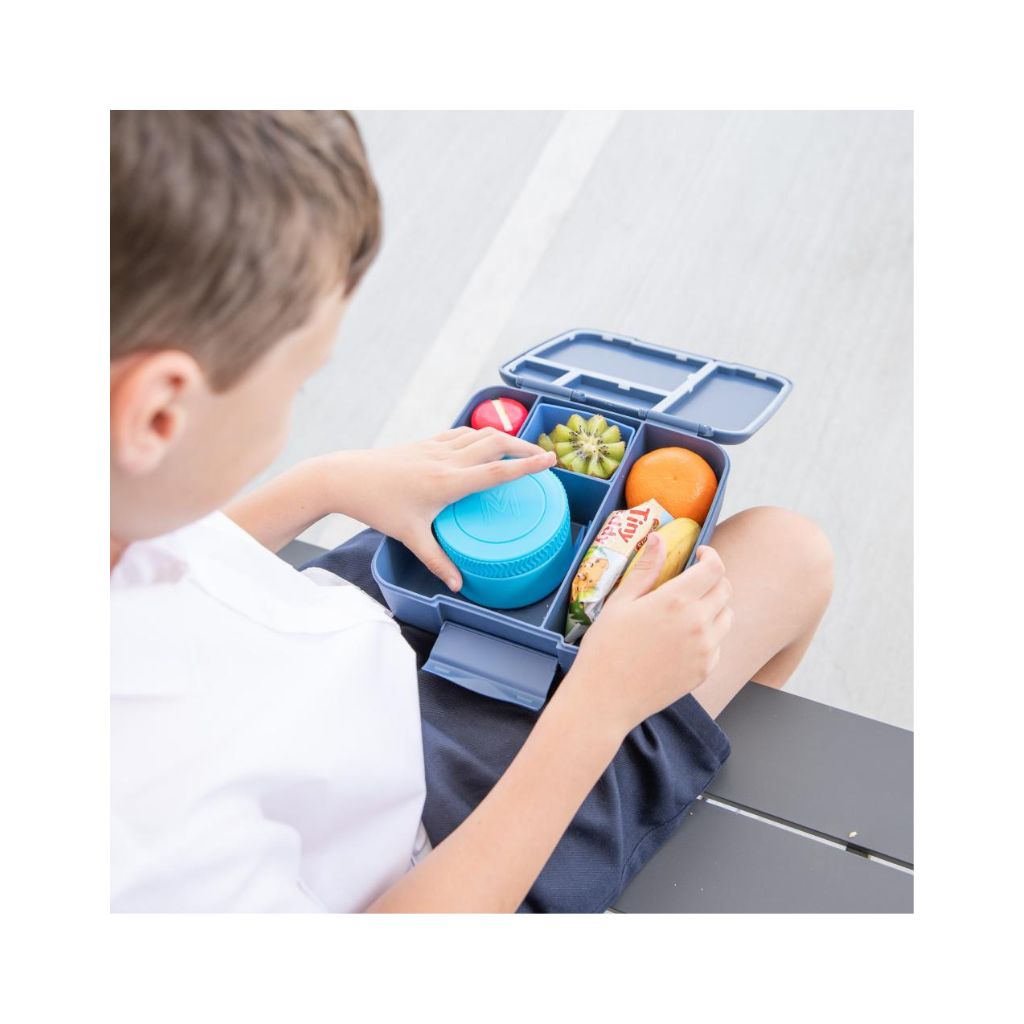 Montiico Feast Lunch Box - Splash