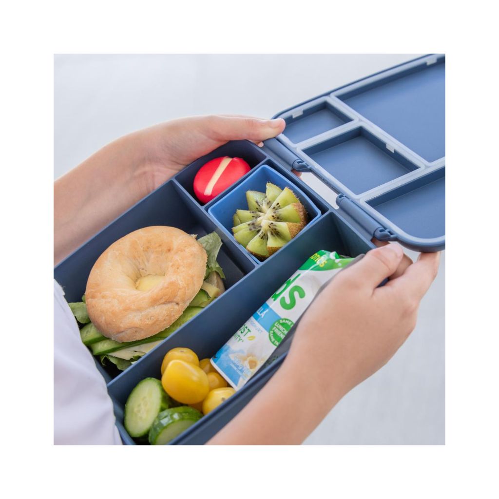 Montiico Feast Lunch Box - Splash