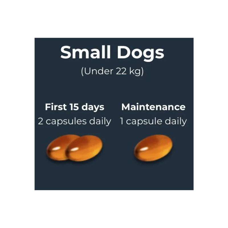Antinol® Plus For Dogs 180s