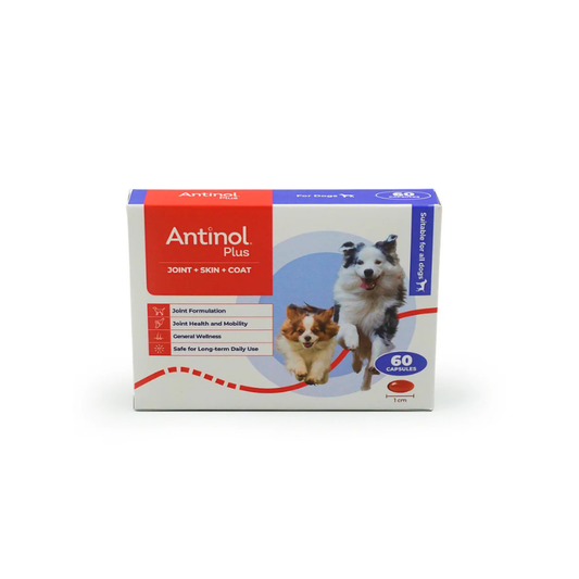 Antinol® Plus For Dogs 60s