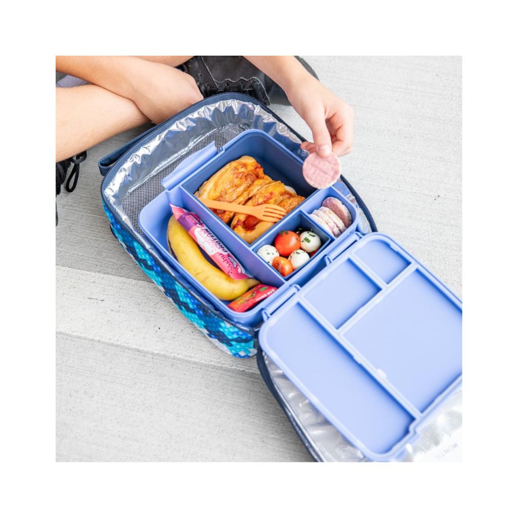 Montiico Feast Lunch Box - Splash