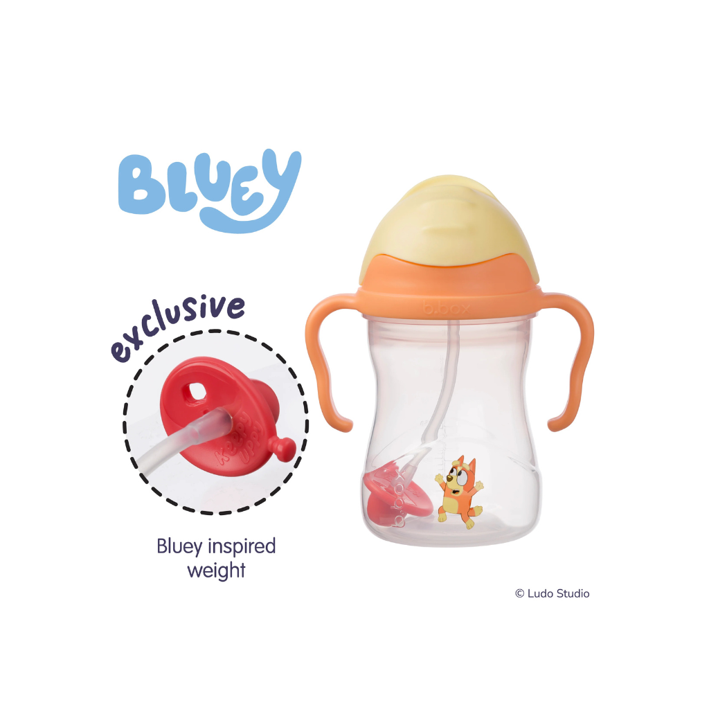 B.BOX Sippy Cup - Bingo
