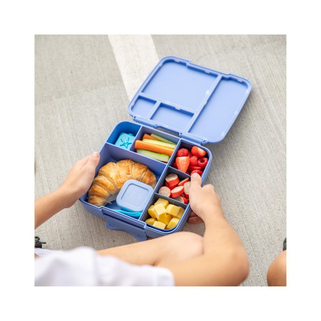 Montiico Feast Lunch Box - Splash