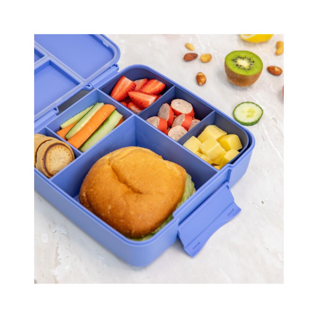 Montiico Feast Lunch Box - Splash