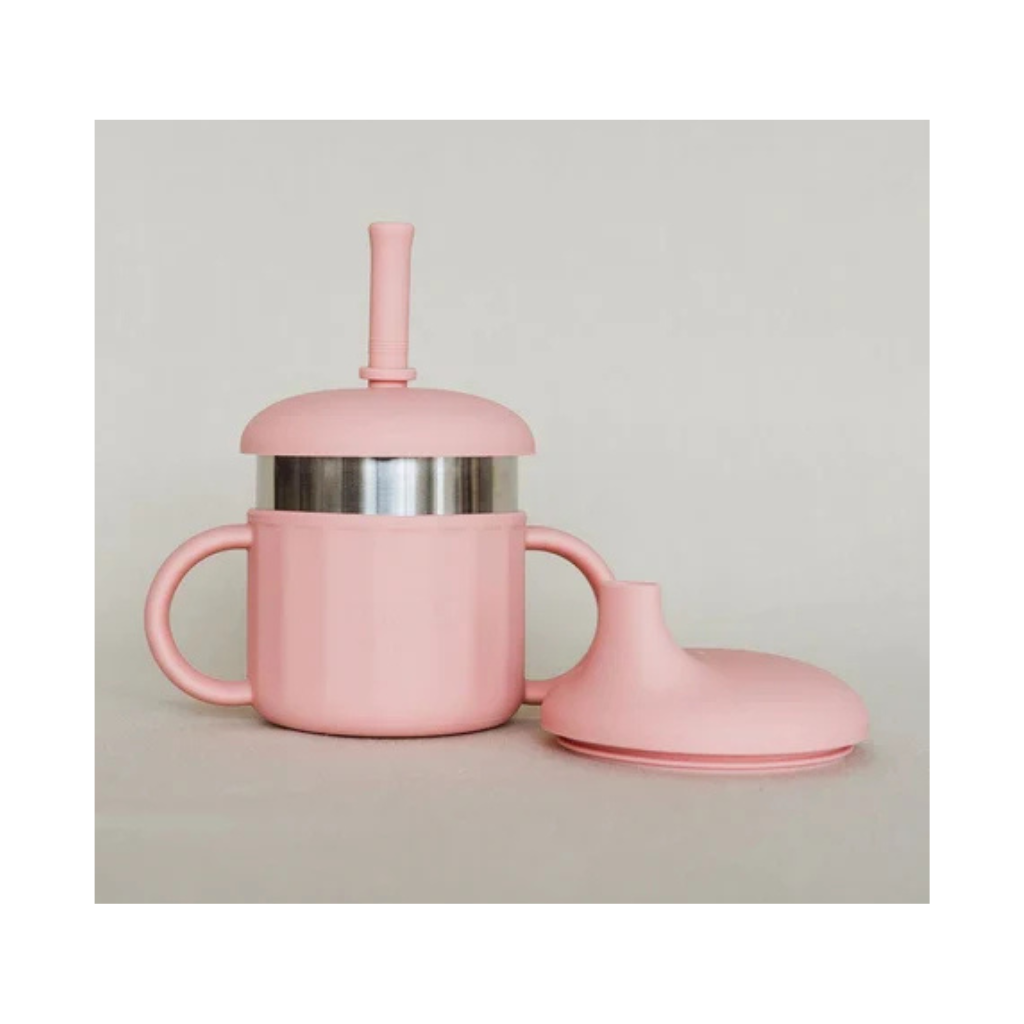 Ease.Baby Stainless Steel EaseSip 3in1 cup
