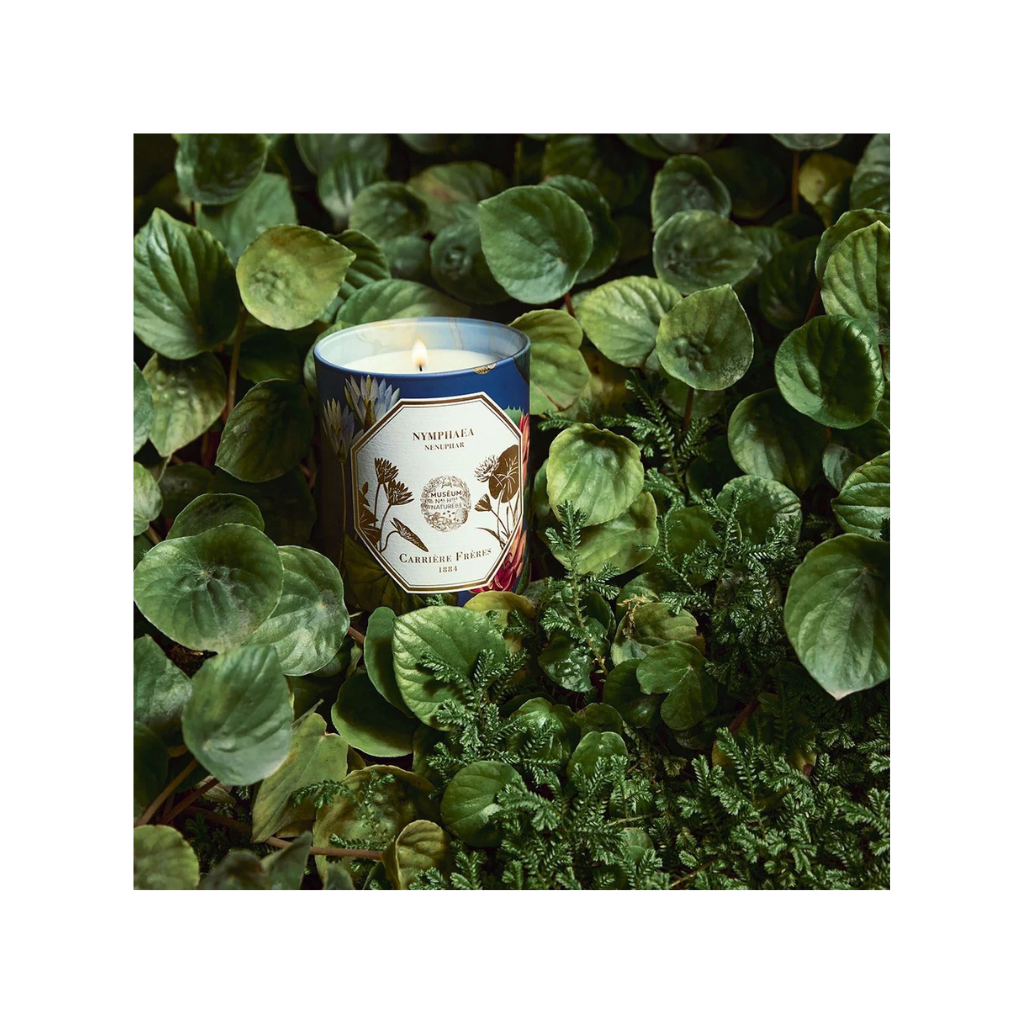 Carrière Frères x The Museum Nymphaea Nenuphar scented candle 185g