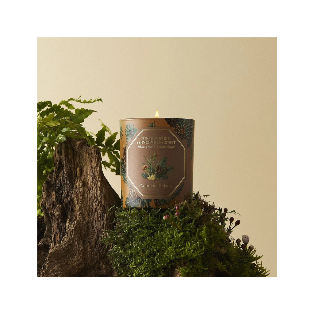 Carrière Frères Christmas Edition Siberian Pine & Candied Ginger Scented Candle